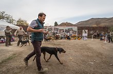 Expozitia canina, Sangeorgiu de Padure , Foto: Boda Gergely Levente