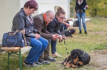 Expozitia canina, Sangeorgiu de Padure , Foto: Boda Gergely Levente