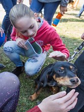 Expozitia canina, Sangeorgiu de Padure , Foto: Boda Gergely Levente