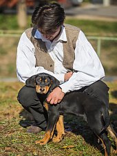 Expozitia canina, Sangeorgiu de Padure , Foto: Boda Gergely Levente