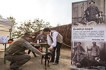 Expozitia canina, Sangeorgiu de Padure , Foto: Boda Gergely Levente
