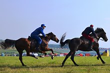 Galopiada Muresana, Sangeorgiu de Padure , Foto: Kerekes Péter Pál
