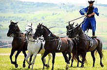 Galopiada Muresana, Sangeorgiu de Padure , Foto: Kerekes Péter Pál