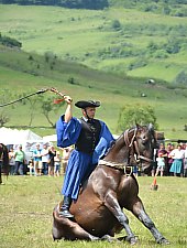 Galopiada Muresana, Sangeorgiu de Padure , Foto: Kerekes Péter Pál