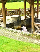 Izvoarele minerale, Baile Homorod , Foto: WR