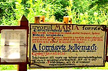 Izvoarele minerale, Baile Homorod , Foto: WR