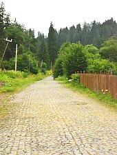 Valea Ilona, Baile Homorod , Foto: WR