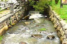 Valea Ilona, Baile Homorod , Foto: WR