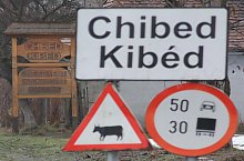 Chibed , Foto: Barabási Attila Csaba