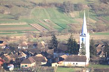 Chibed , Foto: Barabási Attila Csaba