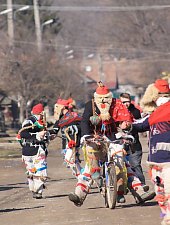 Chibed , Foto: Barabási Attila Csaba