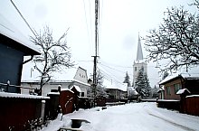 Chibed , Foto: Barabási Attila Csaba