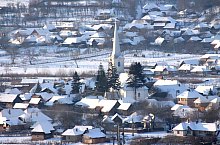 Chibed , Foto: Barabási Attila Csaba