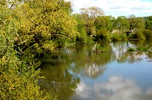 Chibed , Foto: Barabási Attila Csaba