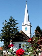 Biserica reformata, Chibed , Foto: Barabási Attila Csaba