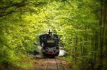 Mocanita, Campu Cetatii , Foto: Hámos Győző