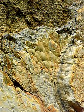 Depunerile de aragonit, Corund , Foto: WR