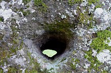 Likas kő, Korond , Fotó: Nemes Zsuzsa