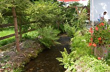 Moara de apa, Corund , Foto: WR