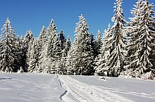 Fântâna Brazilor , Photo: Csedő Attila