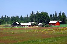Fântâna Brazilor , Photo: Adorjáni Attila