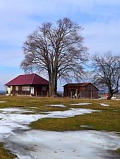 Fântâna Brazilor , Photo: Csedő Attila