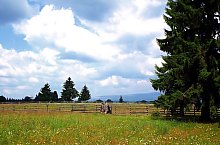 Fântâna Brazilor , Photo: Adorjáni Attila