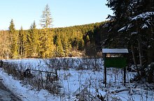 Rezervatia Dumbrava Harghitei, , Foto: Csedő Attila