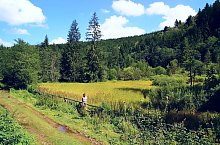 Rezervatia Dumbrava Harghitei, , Foto: Csedő Attila