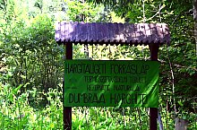 Rezervatia Dumbrava Harghitei, , Foto: Wikipedia