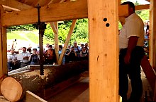 Vízkerekes fűrész, DN13a Balavásár-Csíkszereda., Fotó: Nagy Attila