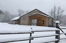 Vízkerekes fűrész, DN13a Balavásár-Csíkszereda., Fotó: Nagy Attila