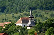 Păltiniş: Biserica reformata