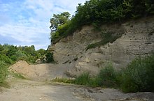 Paraul Rez, Paltinis , Foto: WR