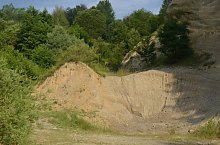 Paraul Rez, Paltinis , Foto: WR