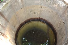 Paraul Rez, Paltinis , Foto: WR