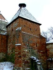 Alma Vii, Biserica evangelică fortificată, Foto: Cătălin Nenciu