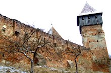 Alma Vii, Biserica evangelică fortificată, Foto: Cătălin Nenciu