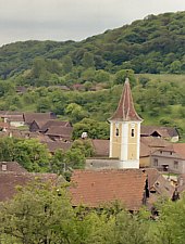 Motis , Foto: Hermann Fabini