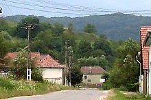 Motis , Foto: Nicu Perlea