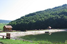 Motis , Foto: Dan Murarau