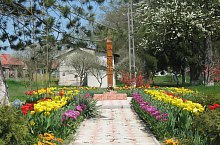 Mikefalva , Fotó: Kertész István