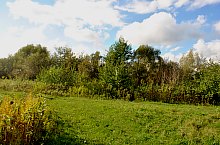 Kismolnári tó, Hosszúmező , Fotó: WR