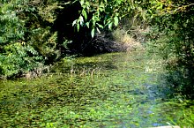 Kismolnári tó, Hosszúmező , Fotó: WR