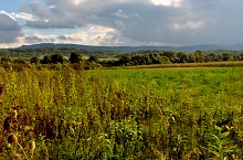 Kismolnári tó, Hosszúmező , Fotó: WR