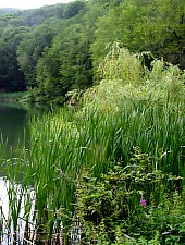 Lacul Bodi Ferneziu, DN18 Sighetu Marmatiei-Baia Mare, Foto: Hám Péter
