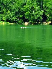 Lacul Bodi Ferneziu, DN18 Sighetu Marmatiei-Baia Mare, Foto: Mircea Roșu