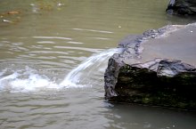 Felsőbánya, Kék tó, Fotó: Emanuel Tivadar