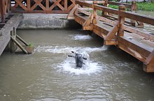 Felsőbánya, Kék tó, Fotó: Nagy Anna