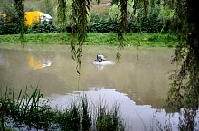 Felsőbánya, Kék tó, Fotó: Hitter Ferenc